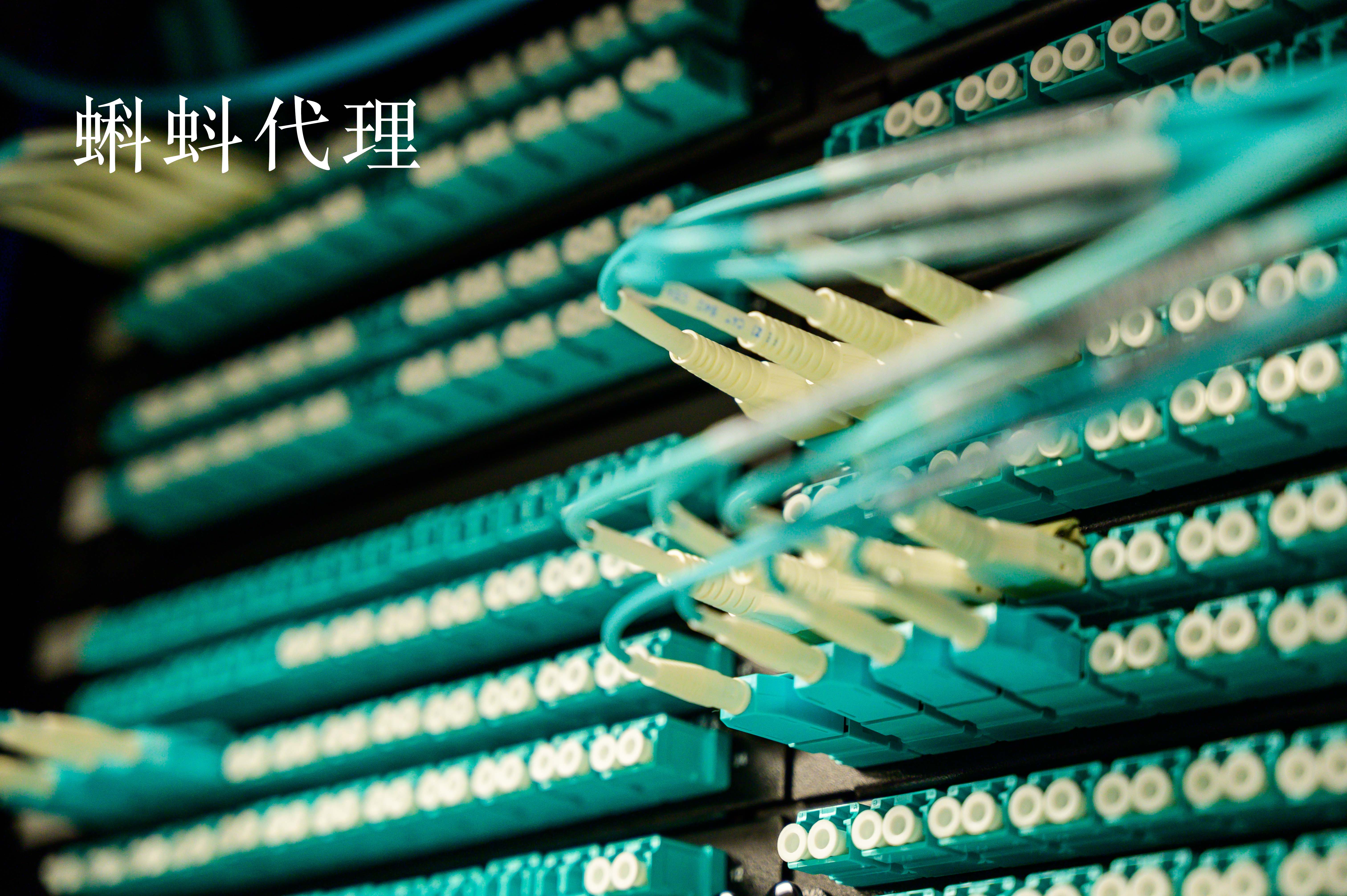纯净ip