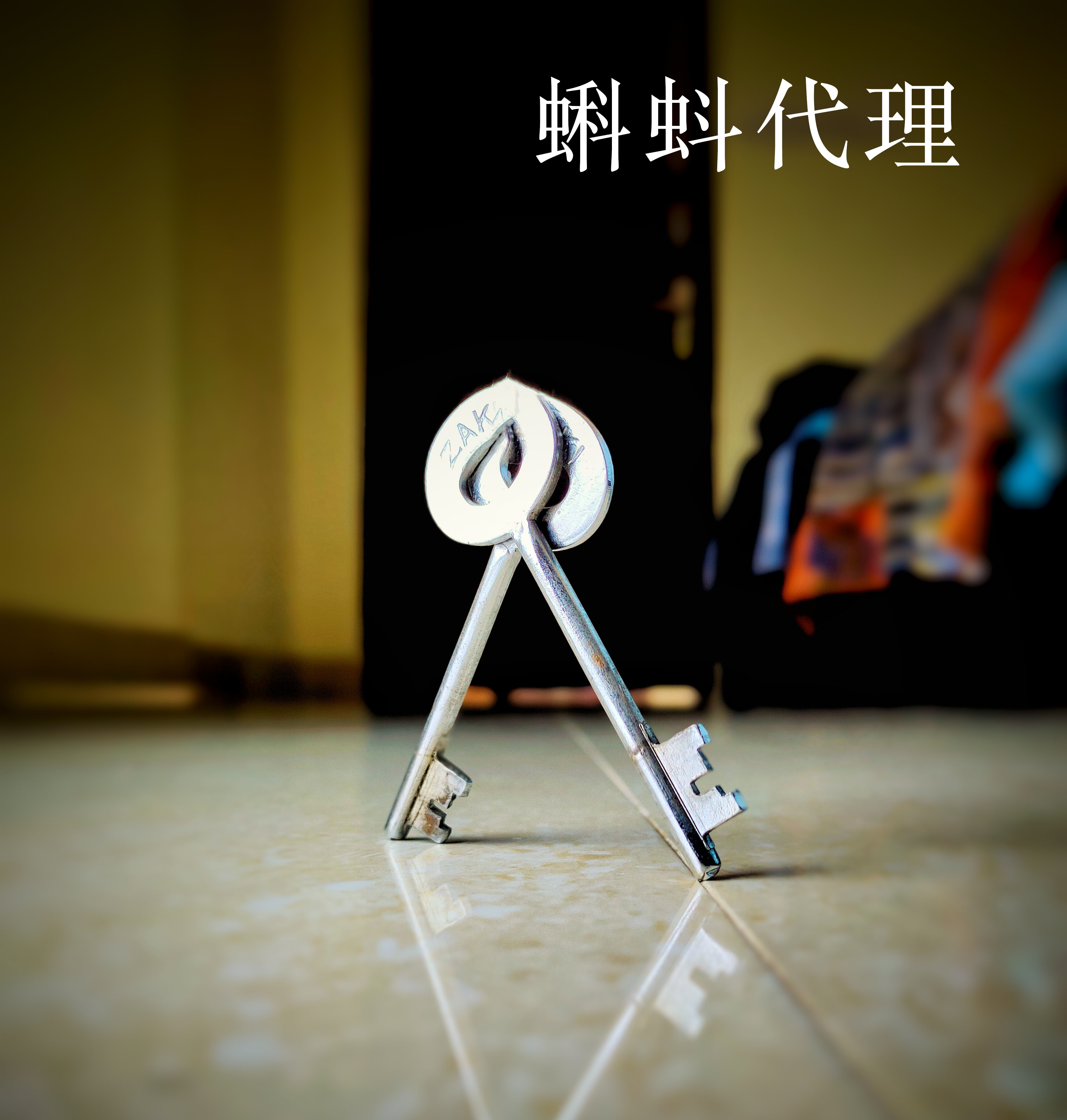 代理ip