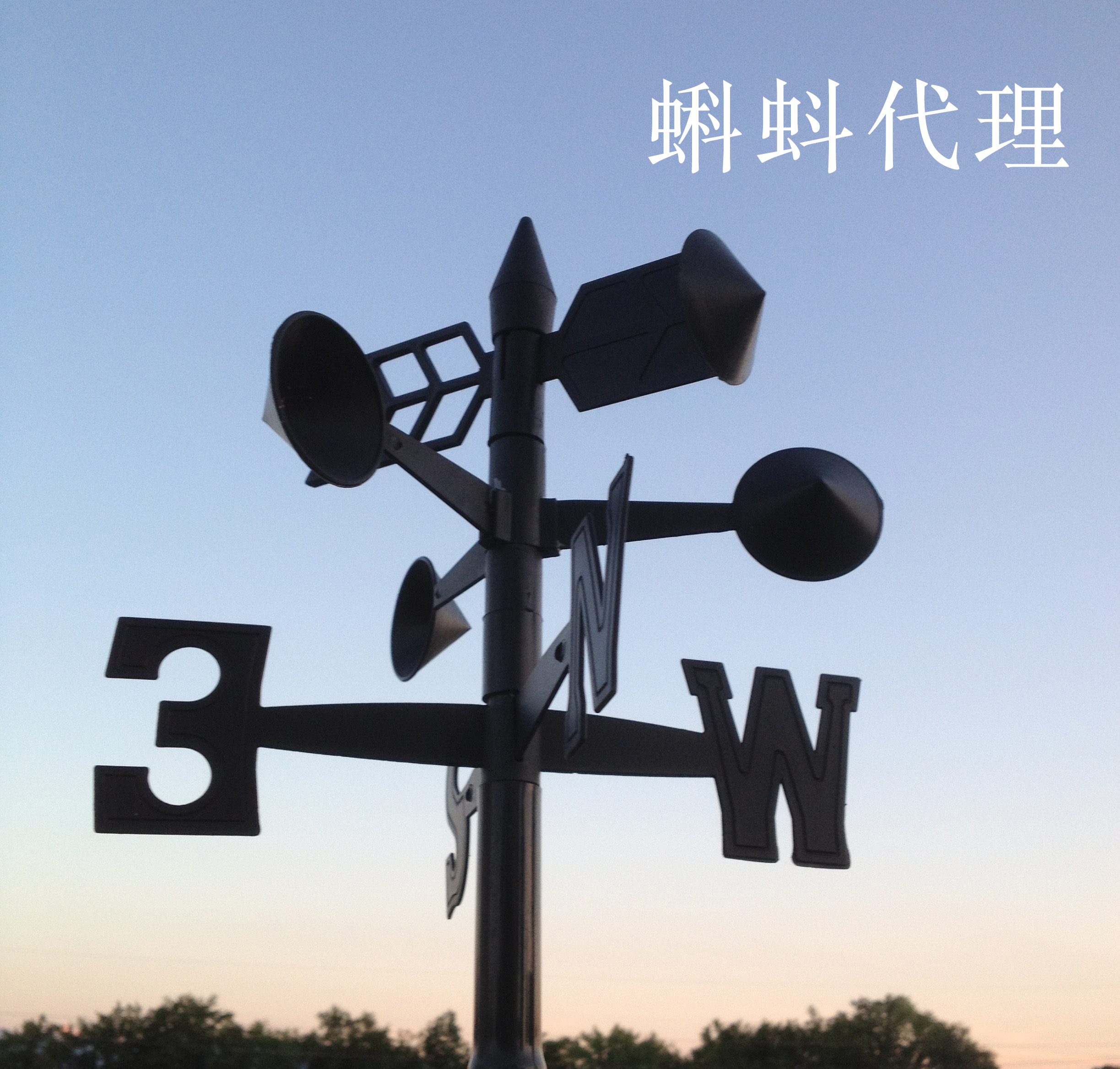 动态ip