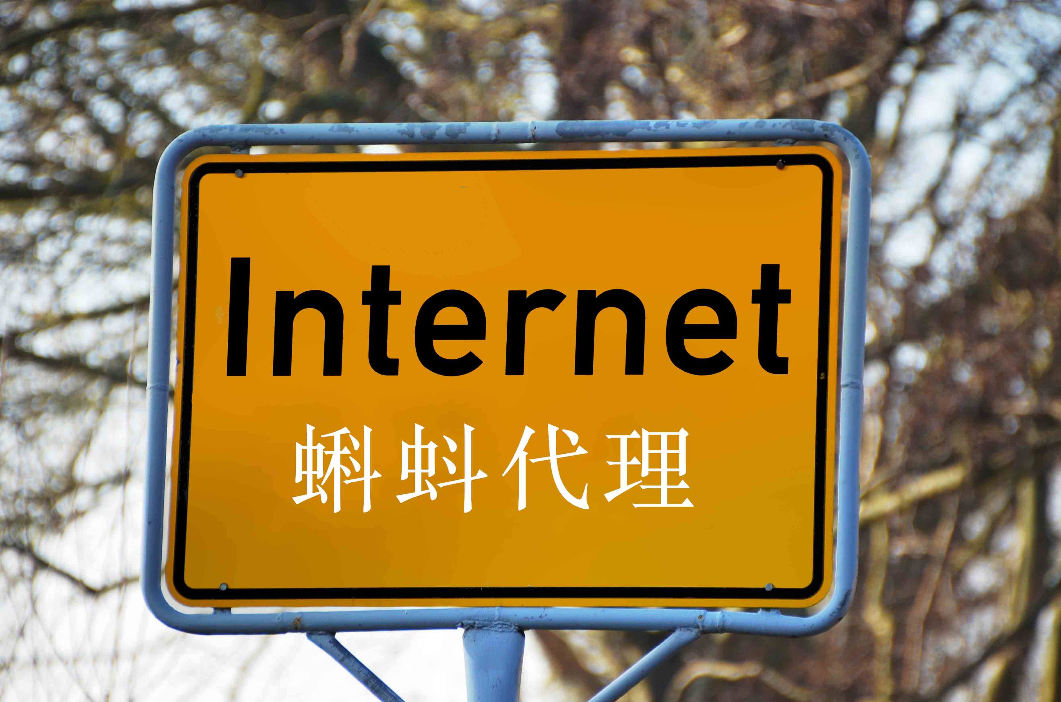 动态代理ip