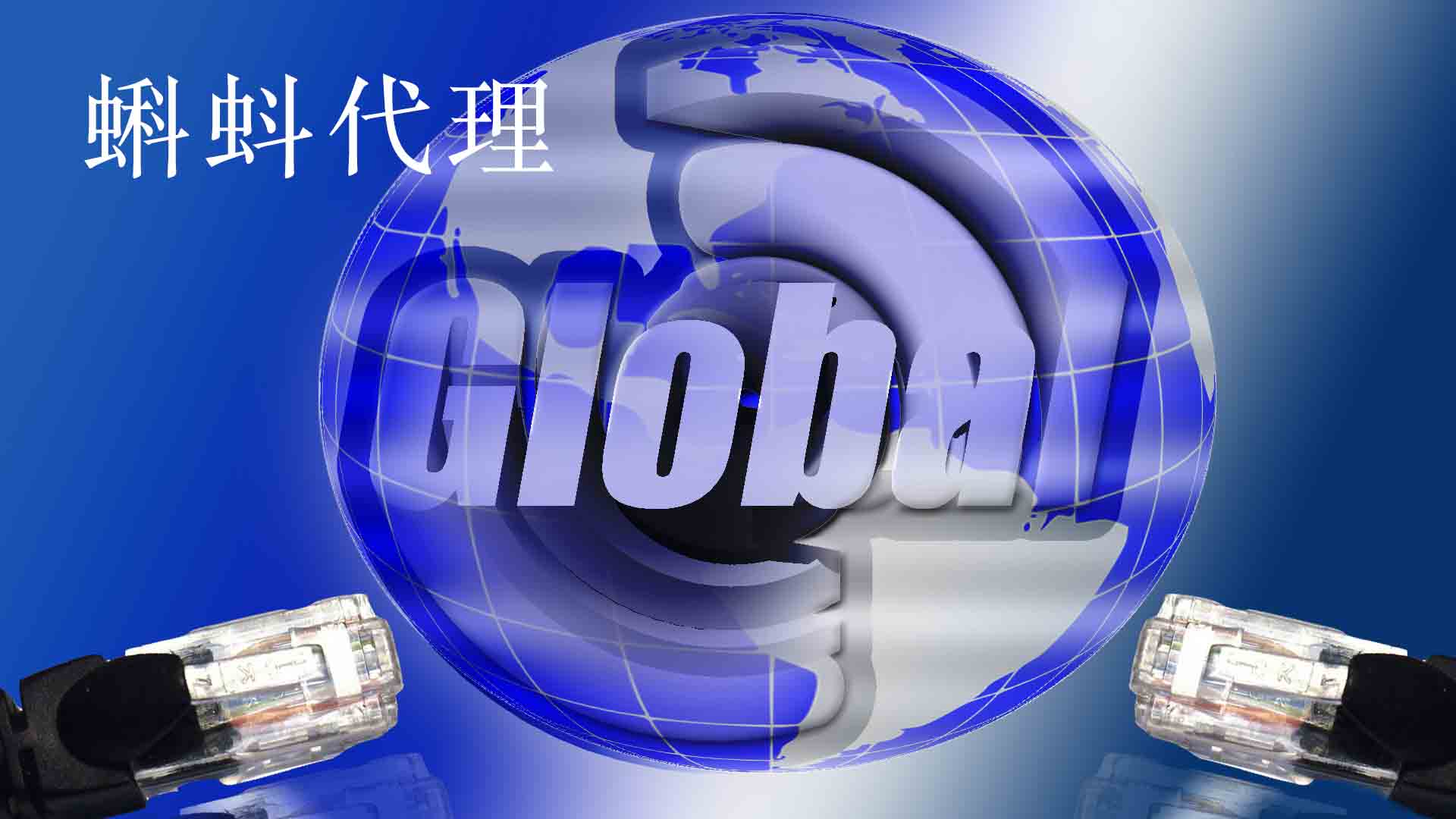 动态ip