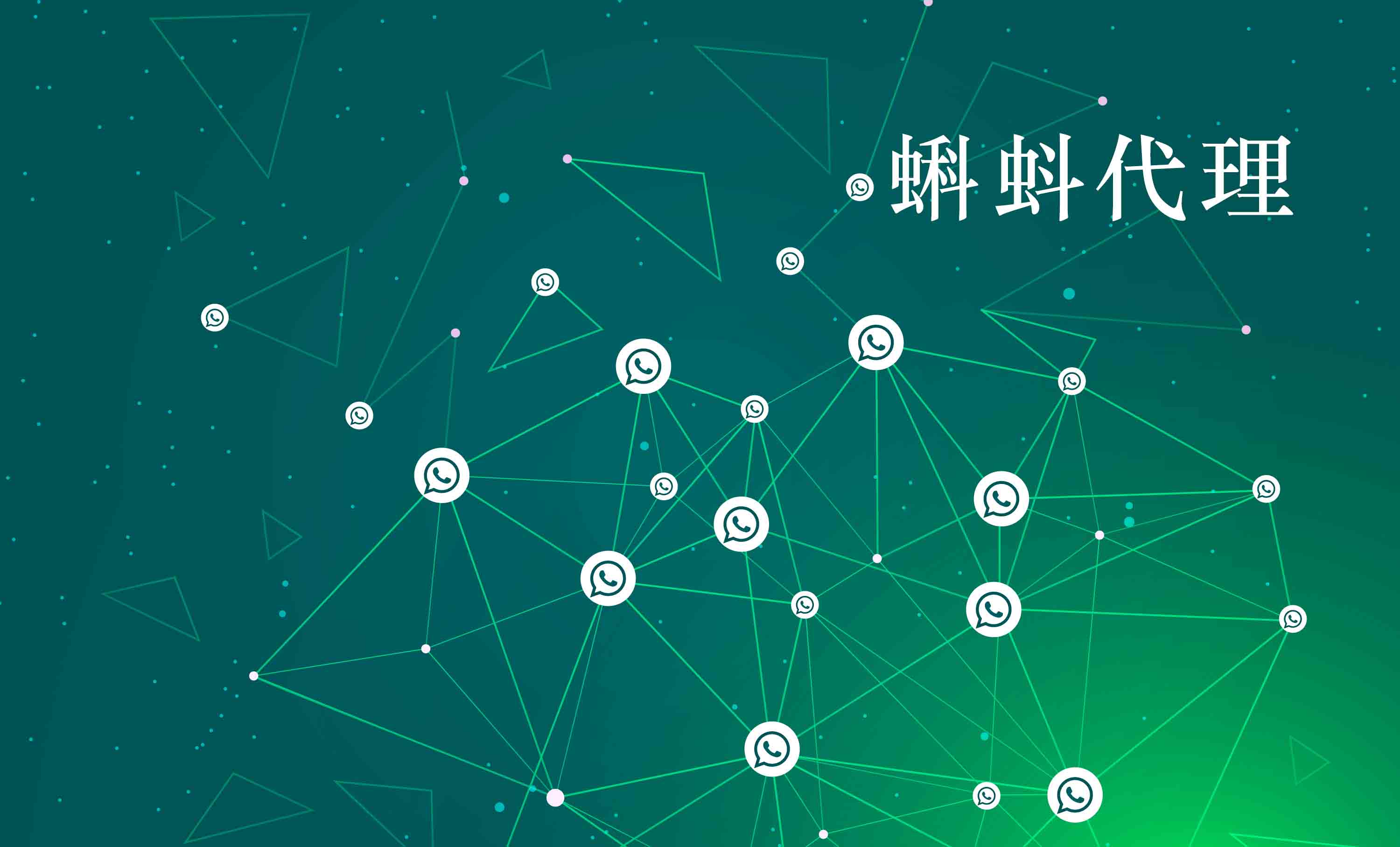 动态ip